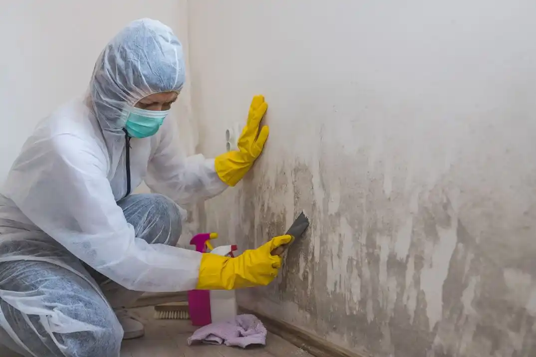 water damage restoration service Livingston Park